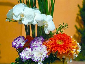 BOUQUET COLORIDO