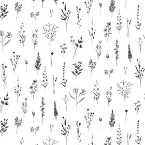 WILDFLOWERS