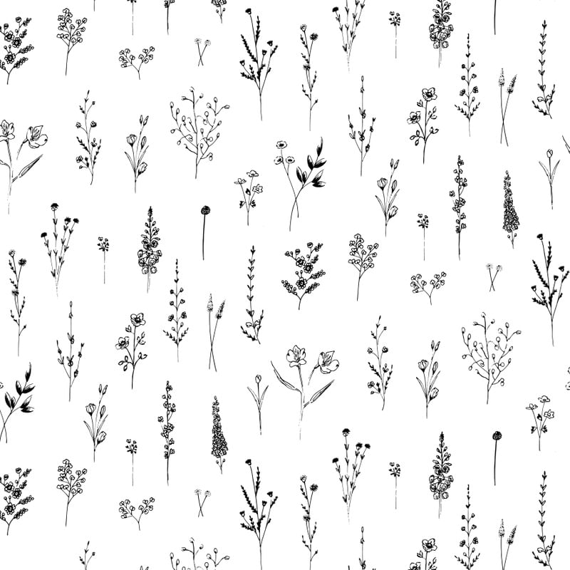 WILDFLOWERS