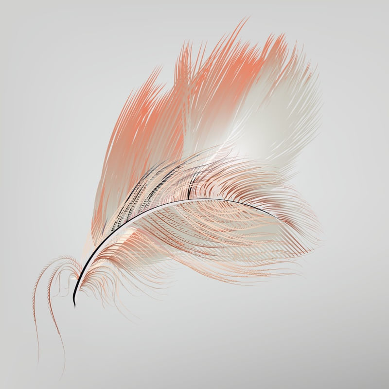 PLUMA BRANCA 2