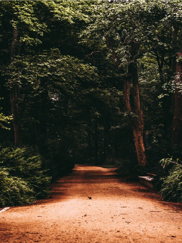 CAMINHOSVERDE