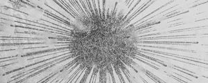 WATER FLOWER