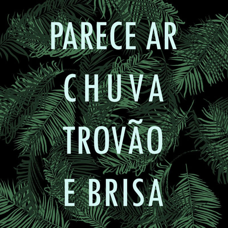 PARECE AR, CHUVA, TROÃO E BRISA