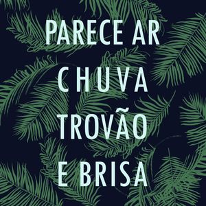 PARECE AR, CHUVA, TROÃO E BRISA TROPICAL