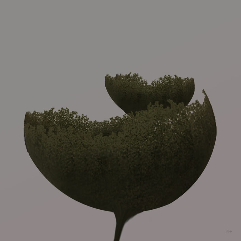 PLANTAS - COMPOSIÇÃO 2
