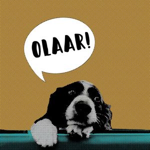 OLAAR!