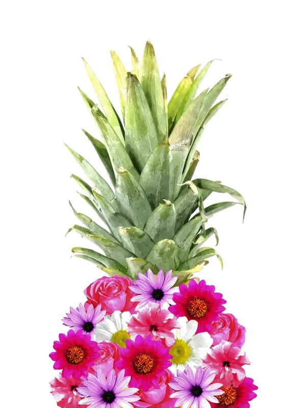 ABACAXI COM FLORES