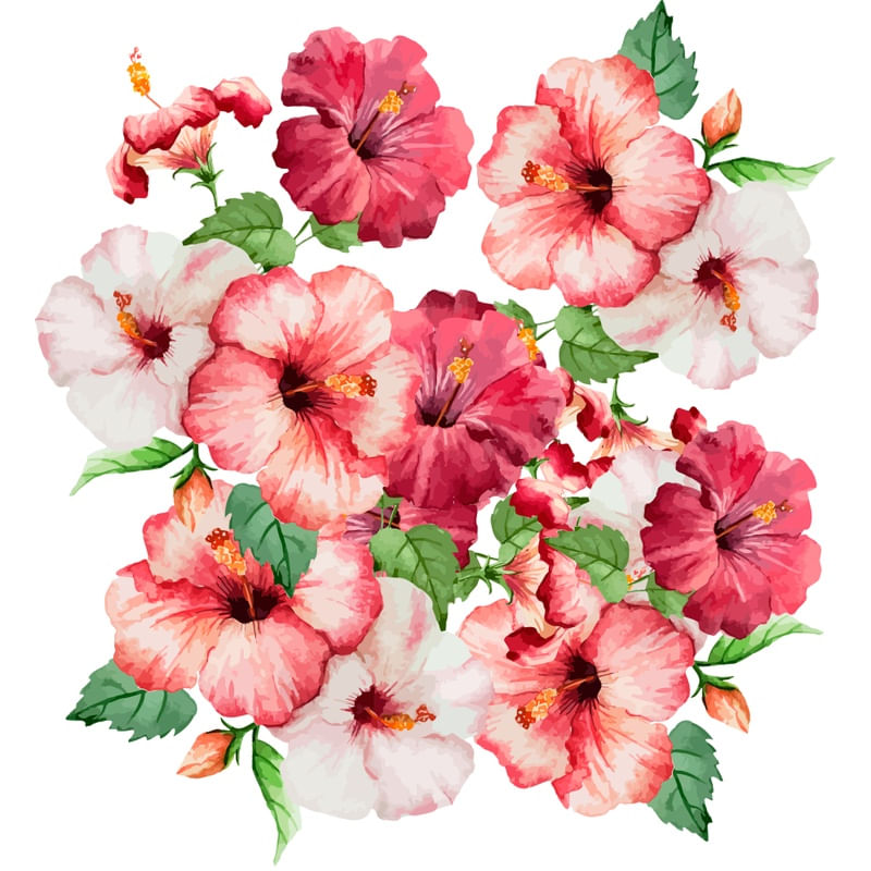 HIBISCUS