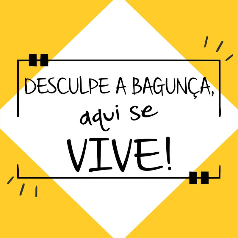 DESCULPE A BAGUNÇA