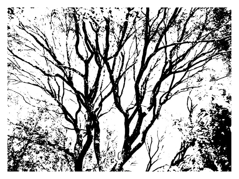 NATUREZA - BRASIL PB TRAÇO