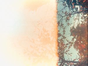 PRIMAVERA ANALÓGICA