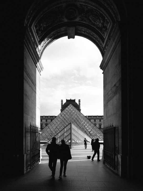 LOUVRE SILHOUETTE