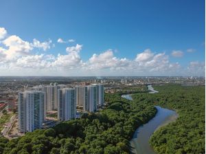 PARQUE DOS MANGUEZAIS RECIFE