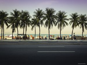 COQUEIROS DE COPACABANA