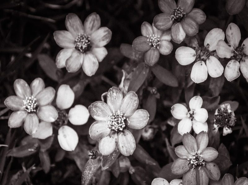 ARRANJO FLORAL 2 EM
