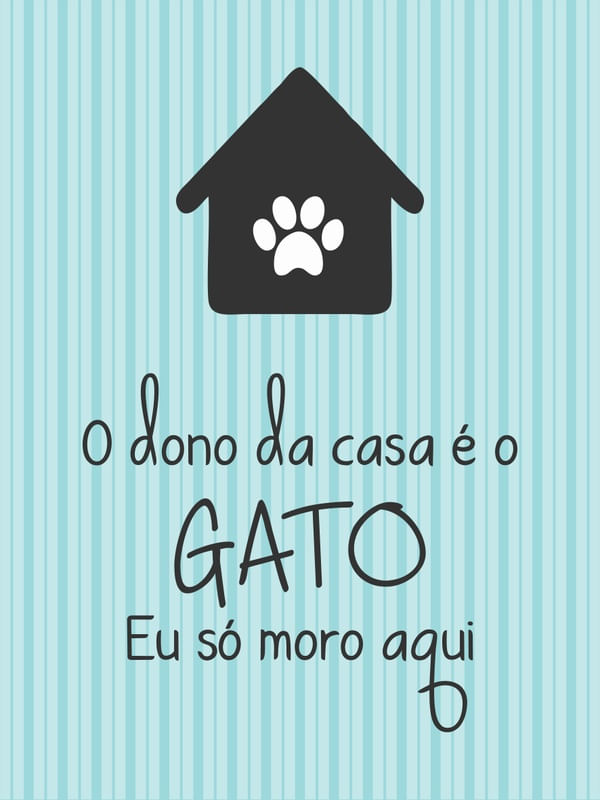 DONO DA CASA - GATO