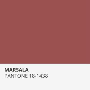 PANTONE MARSALA