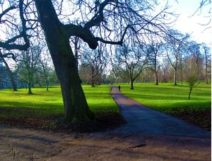 TOOTING PARK