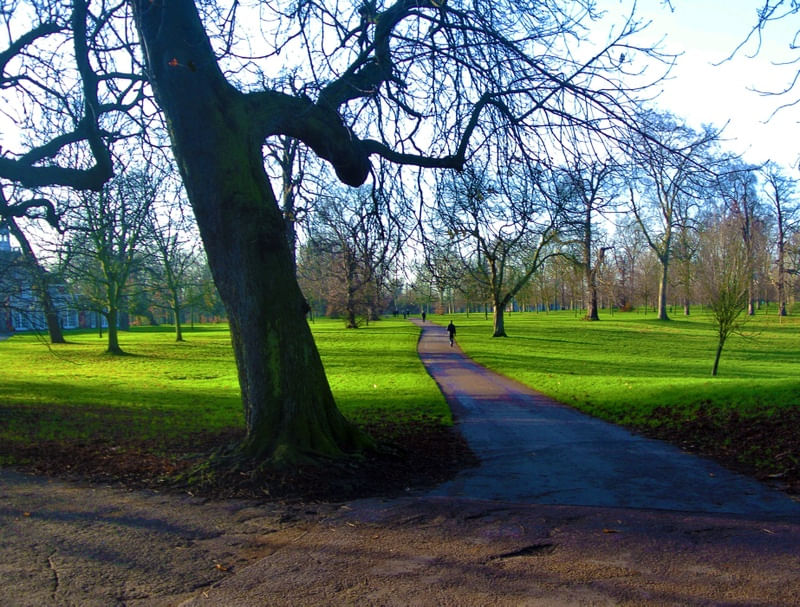 TOOTING PARK