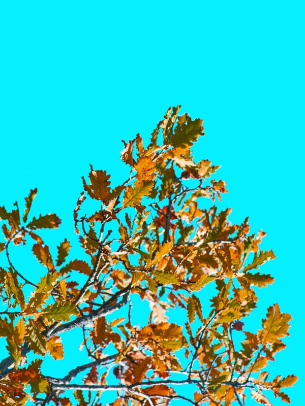 CÉU AZUL I