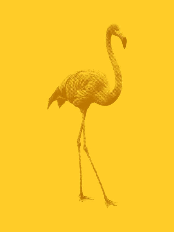 FLAMINGO PONTILISMO AMARELO