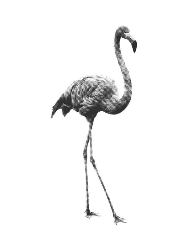 FLAMINGO PONTILISMO BRANCO E PRETO
