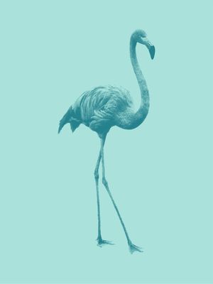 FLAMINGO PONTILISMO VERDE