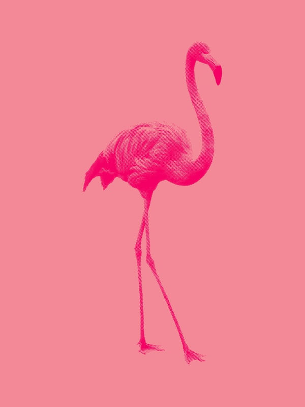FLAMINGO PONTILISMO ROSA