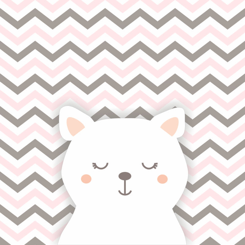 GATINHO BRANCO