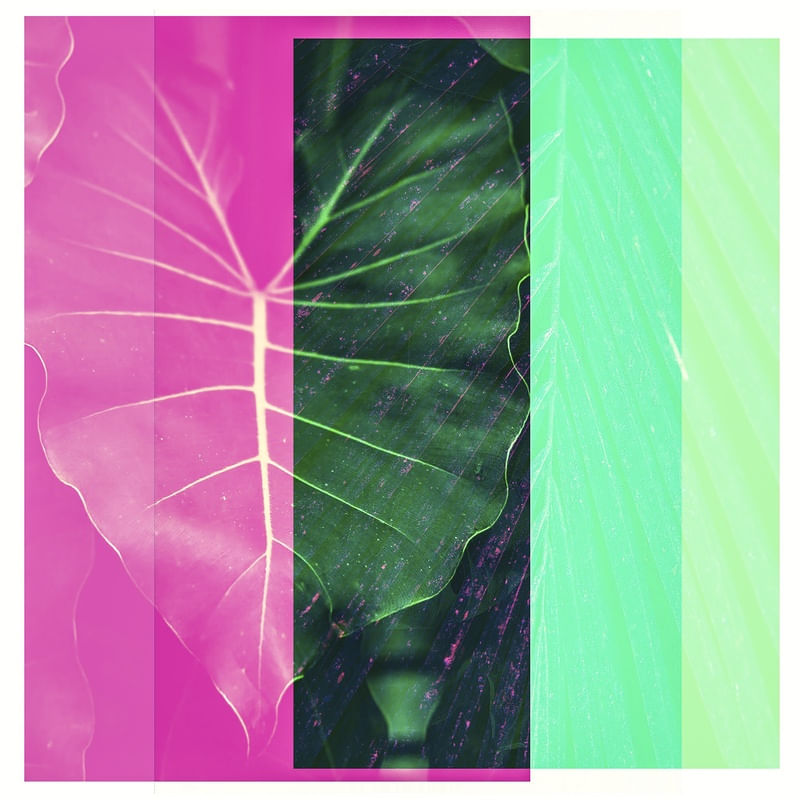 NATURE-GRAPHIC 1