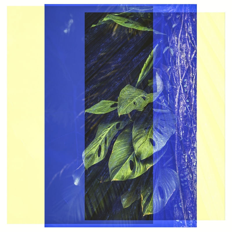 NATURE-GRAPHIC 2