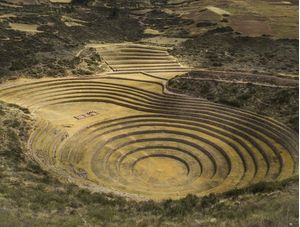 MORAY (CUSCO, PERU)