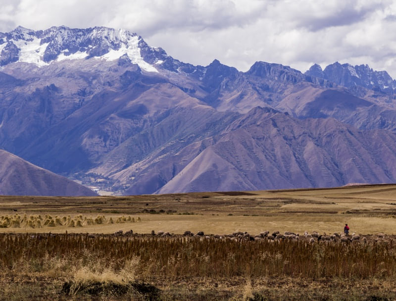 ALONE IN THE MOUNTAIN (CUSCO, PERU)