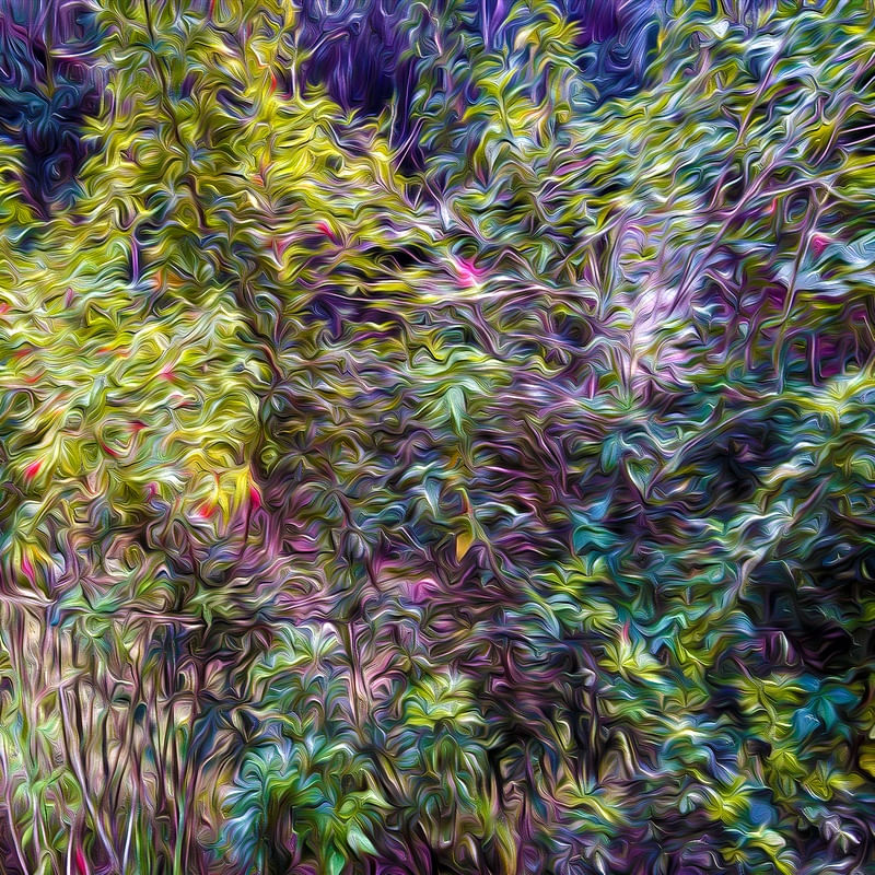 FLORES E VENTO