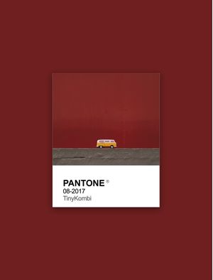 PANTONE PEQUENA KOMBI