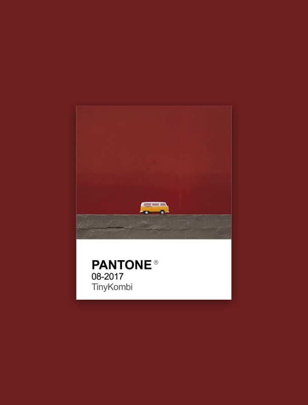 PANTONE PEQUENA KOMBI