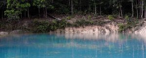 ALGA AZUL