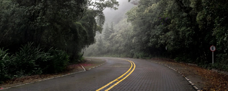 NEBLINA NA ESTRADA