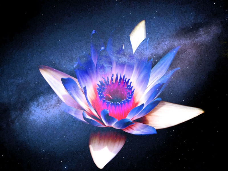 LOTUS NO ESPAÇO