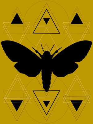 GEO MOTH