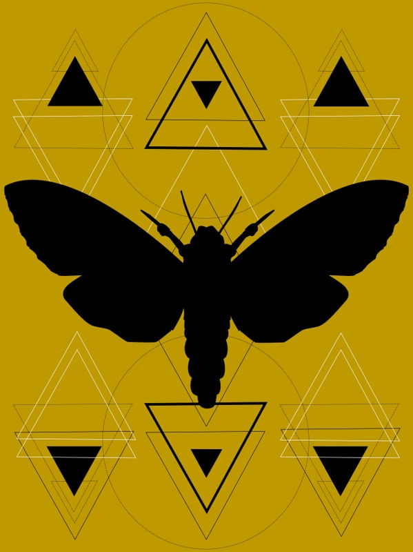 GEO MOTH
