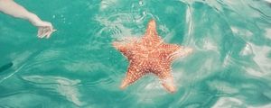 ESTRELA AO MAR