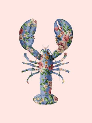 FLORAL LOBSTER