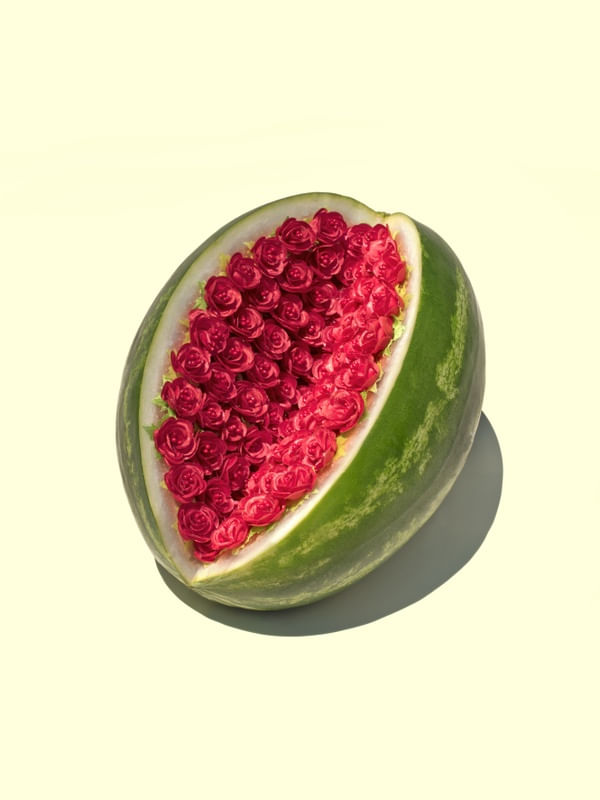 WATERMELON ROSES
