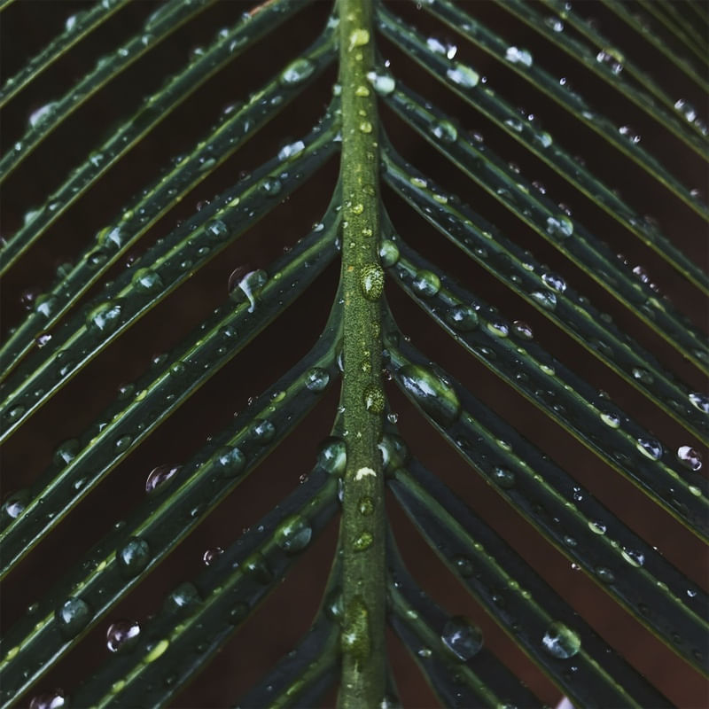 MACROS GOTAS
