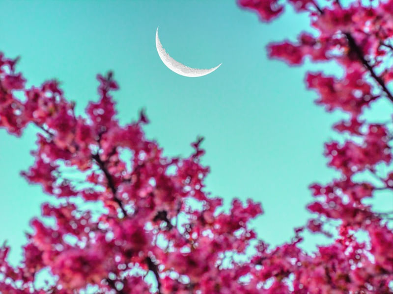 LUA DE INVERNO