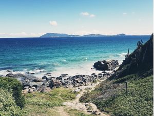 LITTLE PIECE OF PARADISE