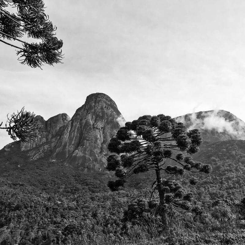 TRESPICOS