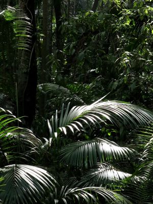 GRANDE PAINEL VERDE DE FOLHAS