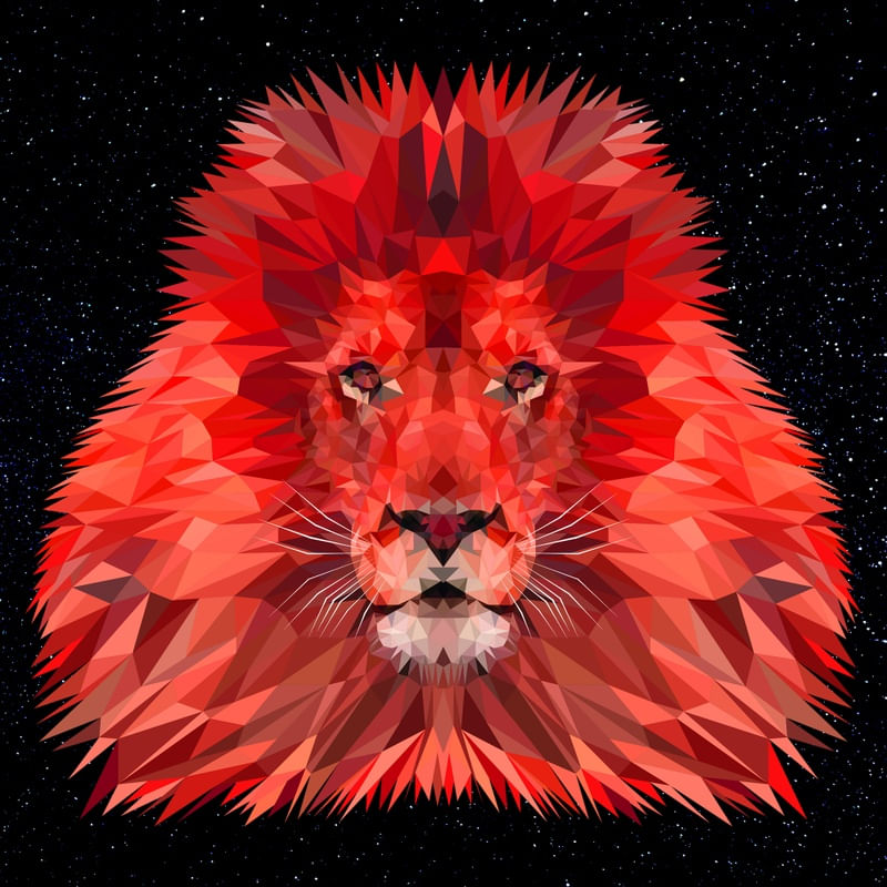 LEAOFOGO